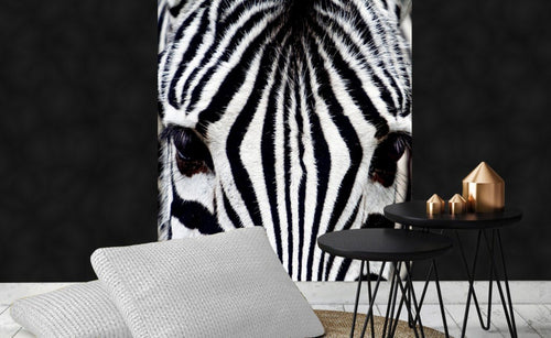 Dimex Zebra Fotobehang 225x250cm 3 banen Sfeer | Yourdecoration.nl