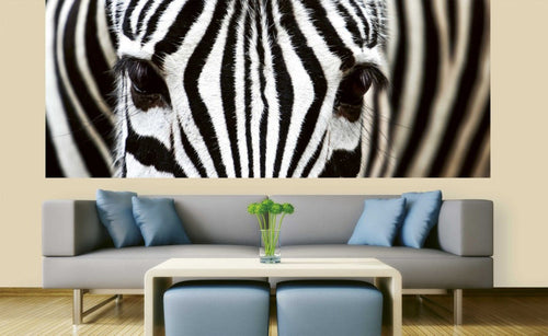 Dimex Zebra Fotobehang 375x150cm 5 banen Sfeer | Yourdecoration.nl