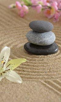 Dimex Zen Garden Fotobehang 150x250cm 2 banen | Yourdecoration.nl