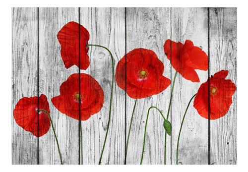 Fotobehang - Tale of Red Poppies - Vliesbehang
