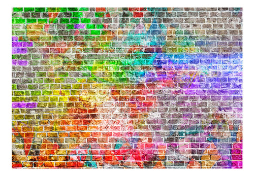 Fotobehang - Rainbow Wall - Vliesbehang