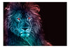 Fotobehang - Abstract Lion Rainbow - Vliesbehang