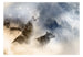 Fotobehang - Pack - Vliesbehang
