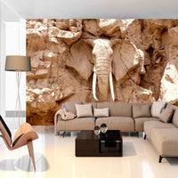 Fotobehang - Stone Elephant South Africa - Vliesbehang