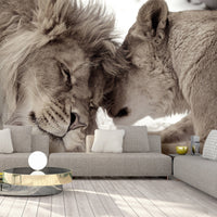 Fotobehang - Lion Tenderness Sepia - Vliesbehang