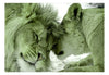 Fotobehang - Lion Tenderness Green - Vliesbehang