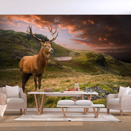 Fotobehang - Deer on Hill - Vliesbehang