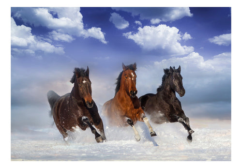 Fotobehang - Horses in the Snow - Vliesbehang