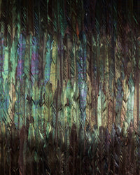 Komar Dark Wings Vlies Fotobehang 200x250 cm 4 Banen | Yourdecoration.nl