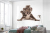 Komar Koala Vlies Fotobehang 300X280Cm 6 Delen Sfeer | Yourdecoration.nl