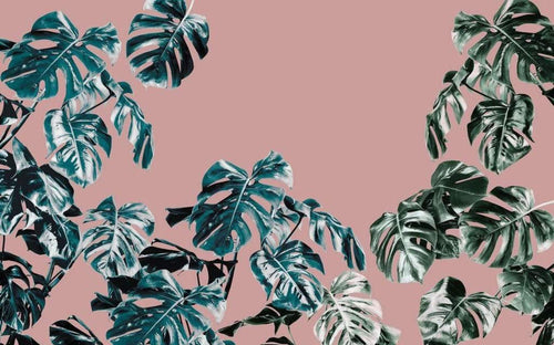 Komar Monstera Rose Vlies Fotobehang 400x250cm 4 banen | Yourdecoration.nl