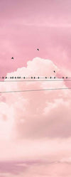 Komar Cloud Wire Vlies Fotobehang 100x250cm 1 baan | Yourdecoration.nl