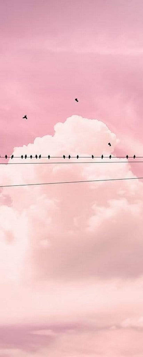 Komar Cloud Wire Vlies Fotobehang 100x250cm 1 baan | Yourdecoration.nl