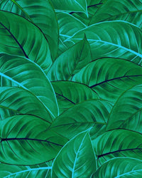 Komar Jungle Leaves Vlies Fotobehang 200x250cm 2 banen | Yourdecoration.nl