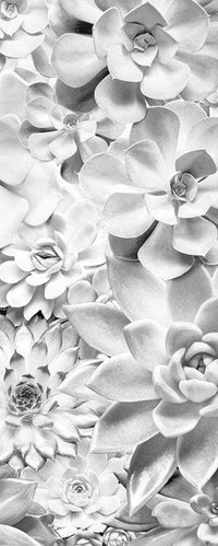 Komar Shades Black and White Vlies Fotobehang 100x250cm 1 baan | Yourdecoration.nl