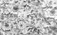 Komar Shades Black and White Vlies Fotobehang 400x250cm 4 banen | Yourdecoration.nl