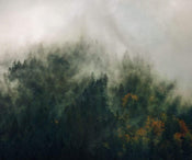 Komar Tales of the Carpathians Vlies Fotobehang 300x250cm 3 banen | Yourdecoration.nl