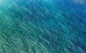 Komar Blaupause Vlies Fotobehang 400x250cm 4 banen | Yourdecoration.nl