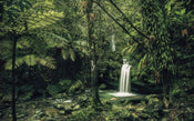 Komar My Hidden Treasure Vlies Fotobehang 400x250cm 4 banen | Yourdecoration.nl