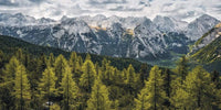 Komar Wild Dolomites Vlies Fotobehang 200x100cm 1 baan | Yourdecoration.nl