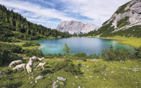 Komar Paradise Lake Vlies Fotobehang 400x250cm 4 banen | Yourdecoration.nl