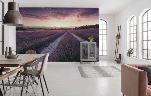 Komar Lavender Dream Vlies Fotobehang 450x280cm 9 banen Sfeer | Yourdecoration.nl
