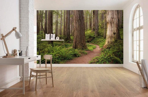 Komar Redwood Trail Vlies Fotobehang 450x280cm 9 banen Sfeer | Yourdecoration.nl