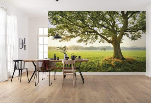 Komar The Magic Tree Vlies Fotobehang 450x280cm 9 banen Sfeer | Yourdecoration.nl