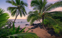 Komar Hawaiian Dreams Vlies Fotobehang 450x280cm 9 banen | Yourdecoration.nl