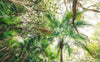 Komar Touch the Jungle Vlies Fotobehang 450x280cm 9 banen | Yourdecoration.nl